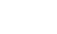 Logo_Ford Salmauto blanco-1