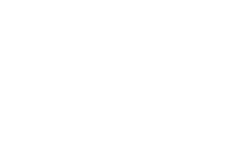 Logo_Aixam_blanco
